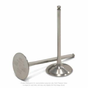 RMZ250 '16-26 - Pro Circuit Titanium Intake Valves