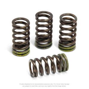 Pro Circuit Valve Springs - RMZ450 '05-07