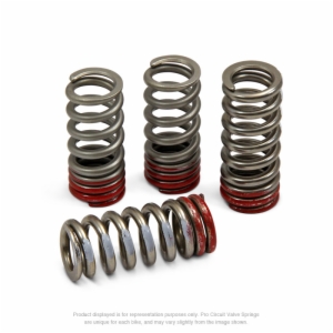 Pro Circuit Valve Springs - CRF250R '16-17
