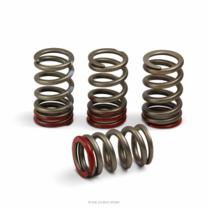 Pro Circuit Valve Springs - CRF250R '18-21