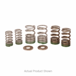 KX250F '25-26 - Pro Circuit Valve Springs