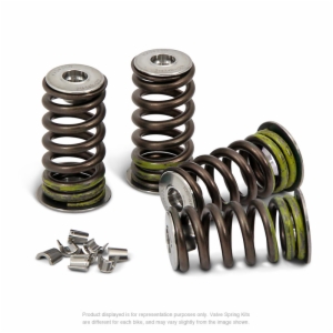 Pro Circuit Valve Spring Kit - RMZ250 '16