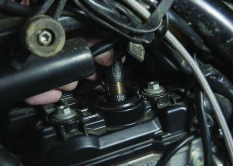 MOTION PRO 16MM PRO PLUG SOCKET